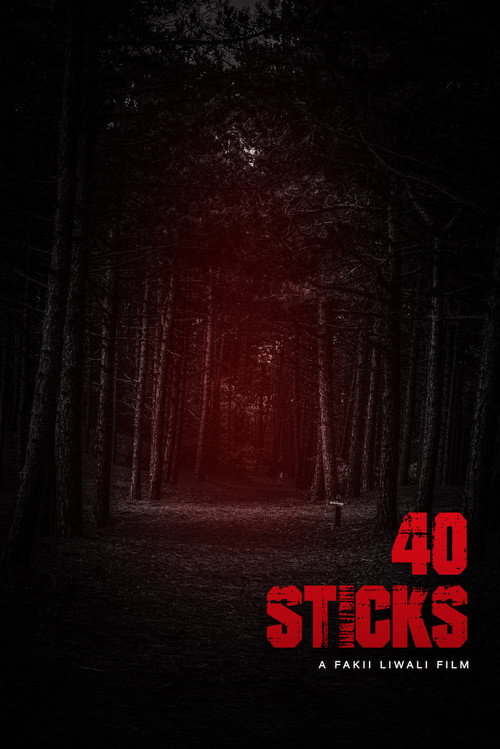 Постер фильма «40 Sticks»
