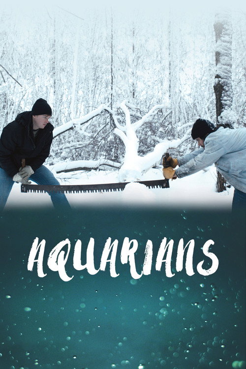 Постер фильма «Aquarians»