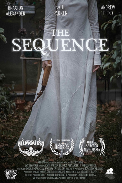 Постер фильма «The Sequence»