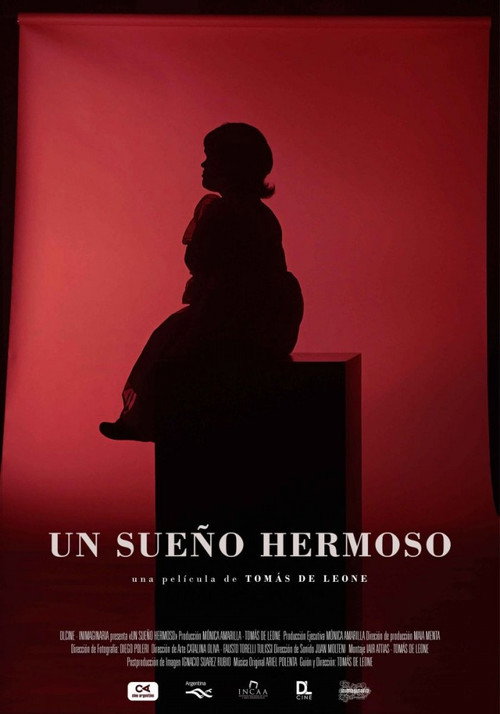 Постер фильма «Un sueño hermoso»