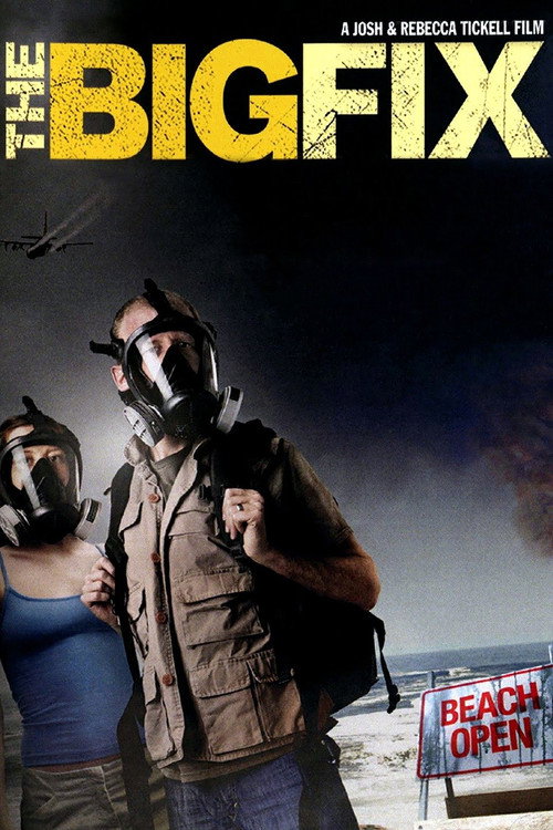 Постер фильма «The Big Fix»