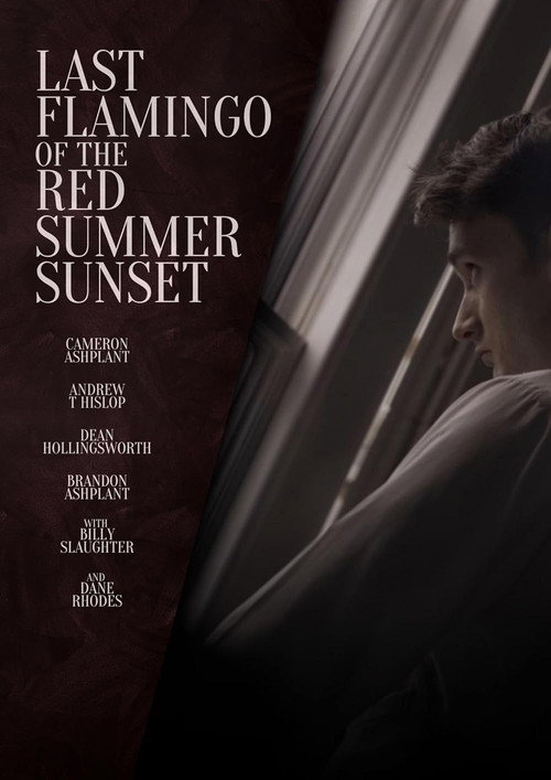 Постер фильма «Last Flamingo of the Red Summer Sunset»