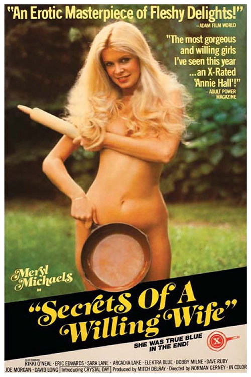 Постер фильма «Secrets of a Willing Wife»