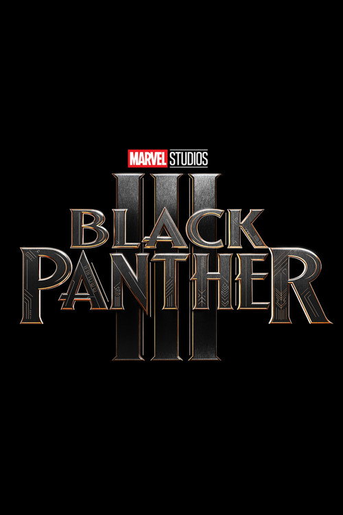 Постер фильма «Black Panther 3»