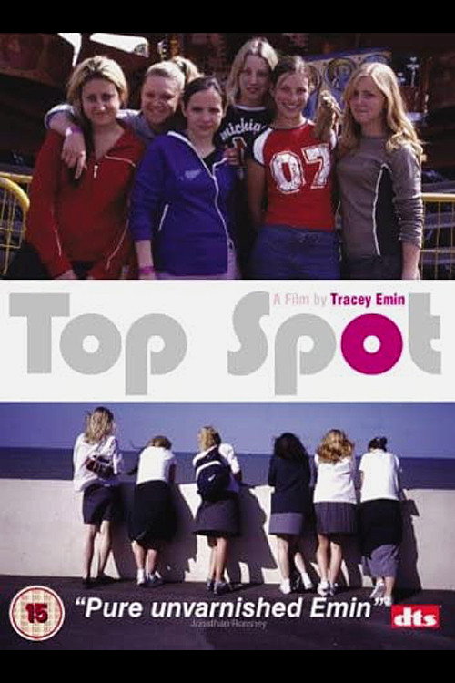 Постер фильма «Top Spot»