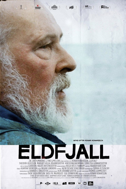 Постер фильма «Eldfjall»