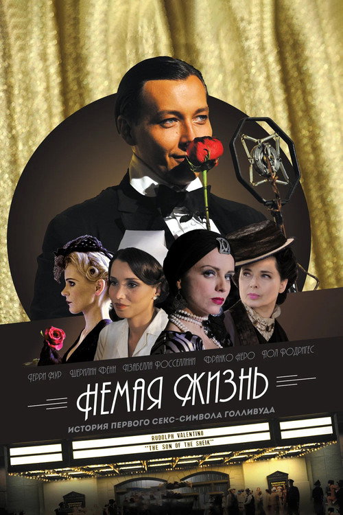 Постер фильма «Немая жизнь: История женщины в чёрном»
