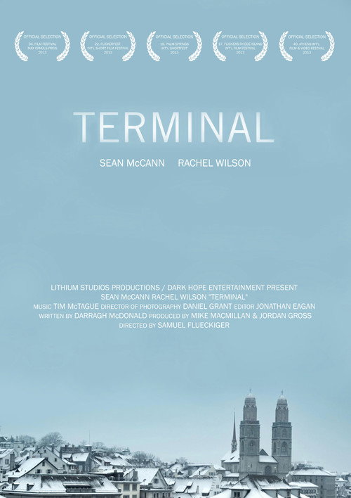 Постер фильма «Terminal»