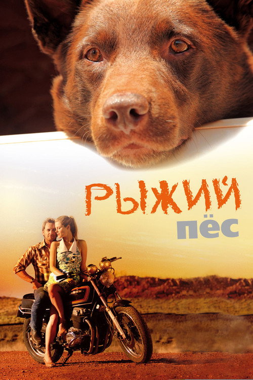 Постер фильма «Рыжий пёс»