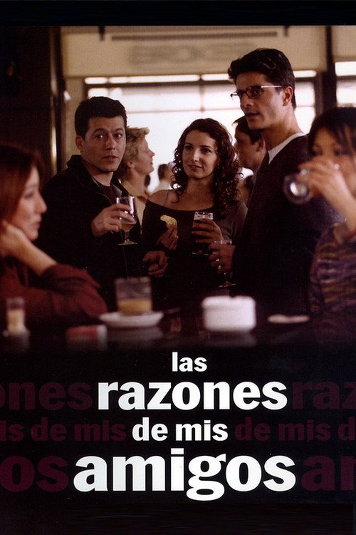 Постер фильма «Las razones de mis amigos»
